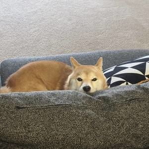 Meet your Posher, Daisuke